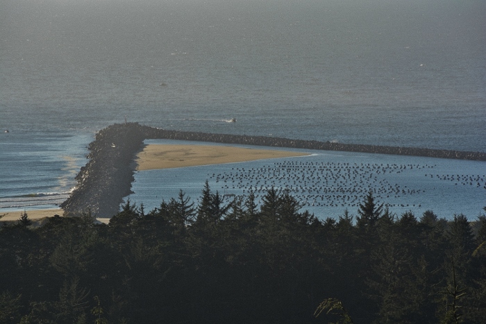 oyster traps in a triangle of water sheltered by jetties